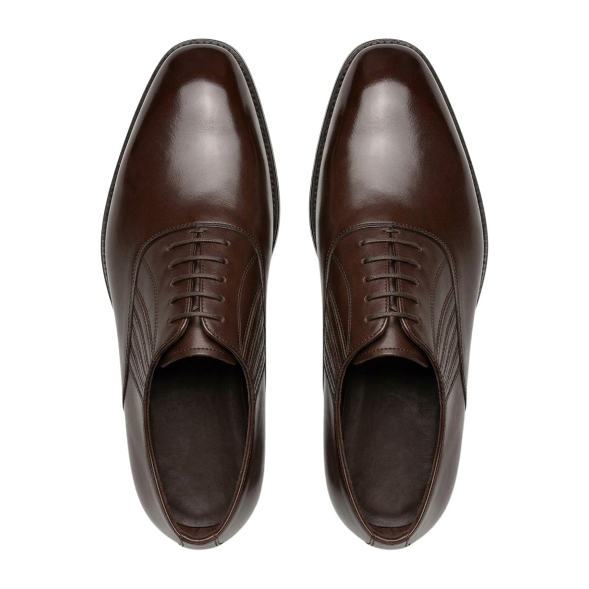 The Amatrice Oxford