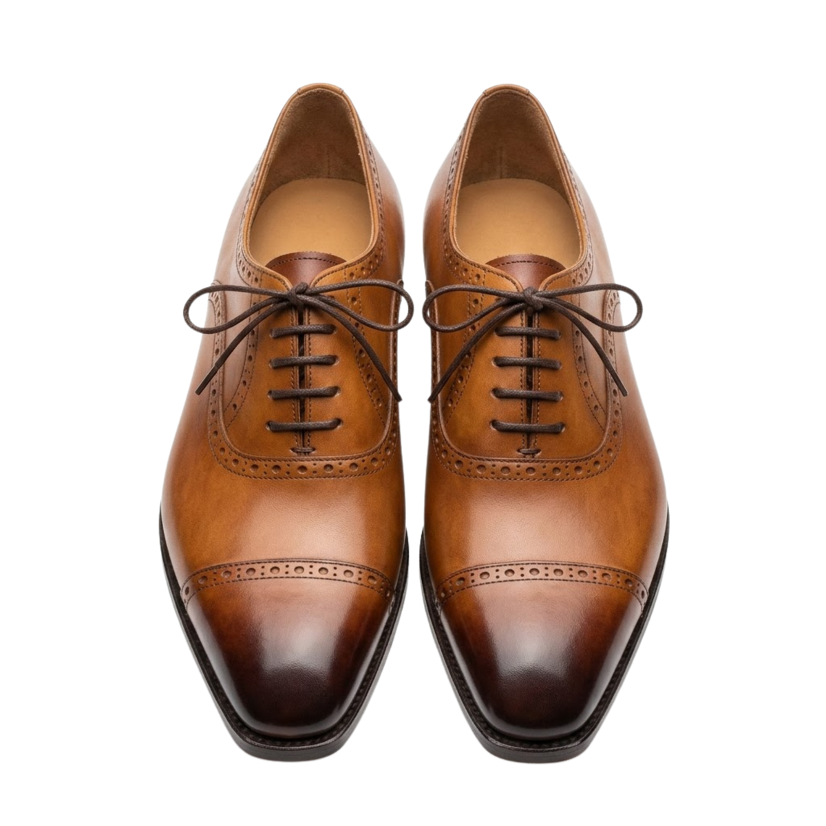 The Norcia Oxford