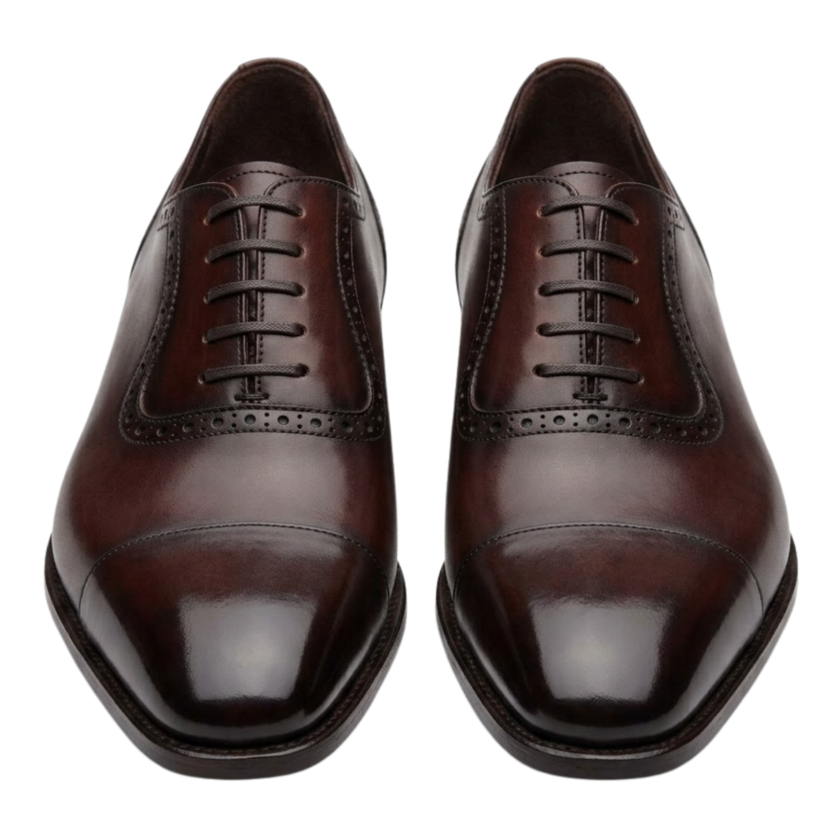 The Lucca Oxford